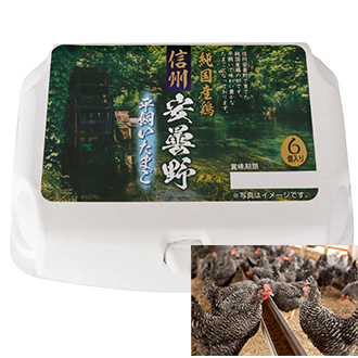 信州安曇野平飼いたまご